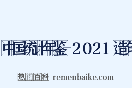 中国统计年鉴-2021造句是什么意思的图片